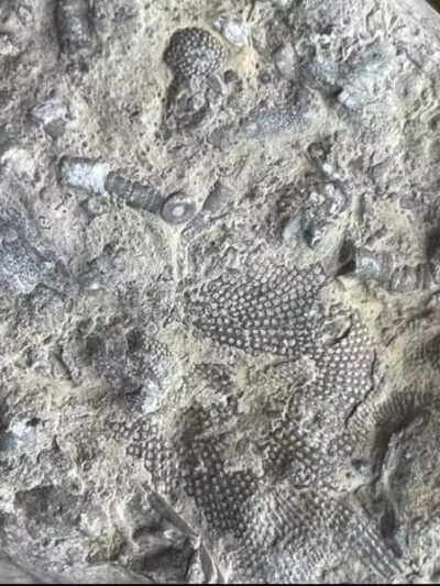 Ski Lodge Pond - Cobleskill, NY