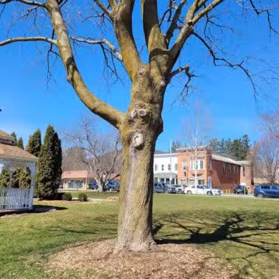 Veterans Memorial Centre Park - Cobleskill, NY