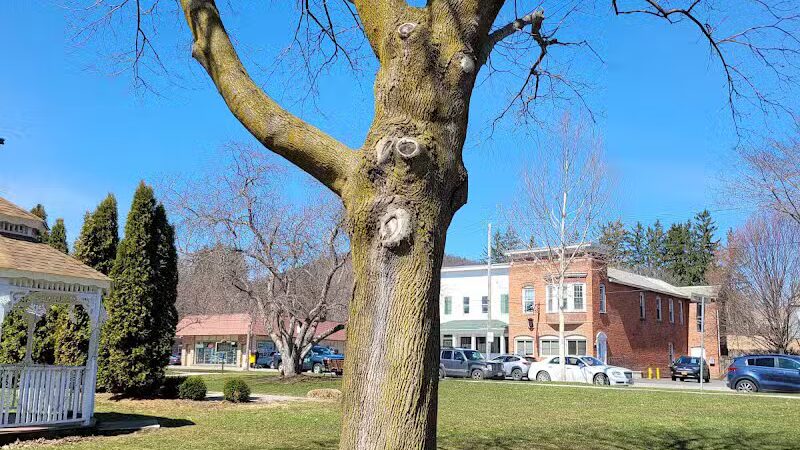 Veterans Memorial Centre Park - Cobleskill, NY