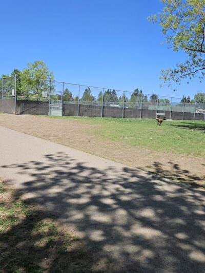 Central Bark Dog Park