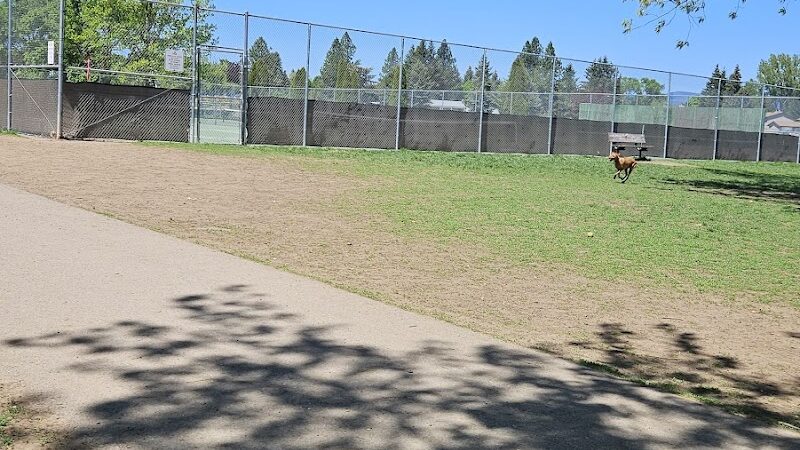 Central Bark Dog Park