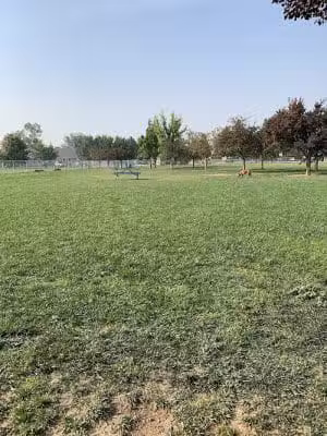 Central Bark Dog Park