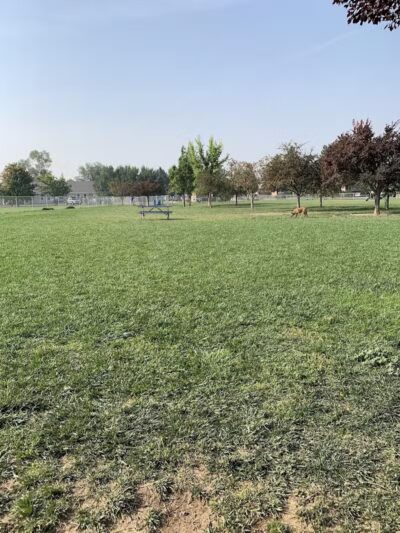 Central Bark Dog Park