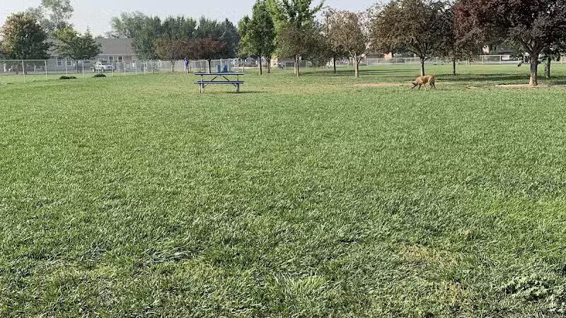 Central Bark Dog Park
