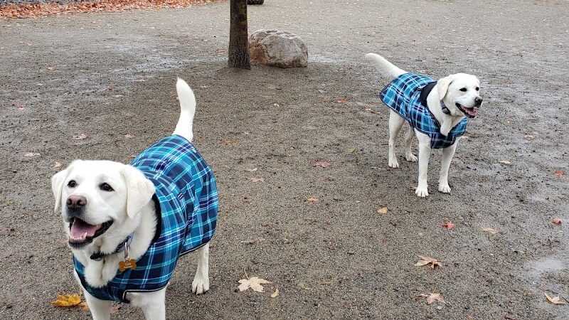 Cherry Hill Dog Park