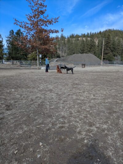 Cherry Hill Dog Park
