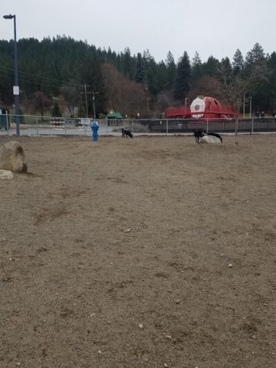 Cherry Hill Dog Park