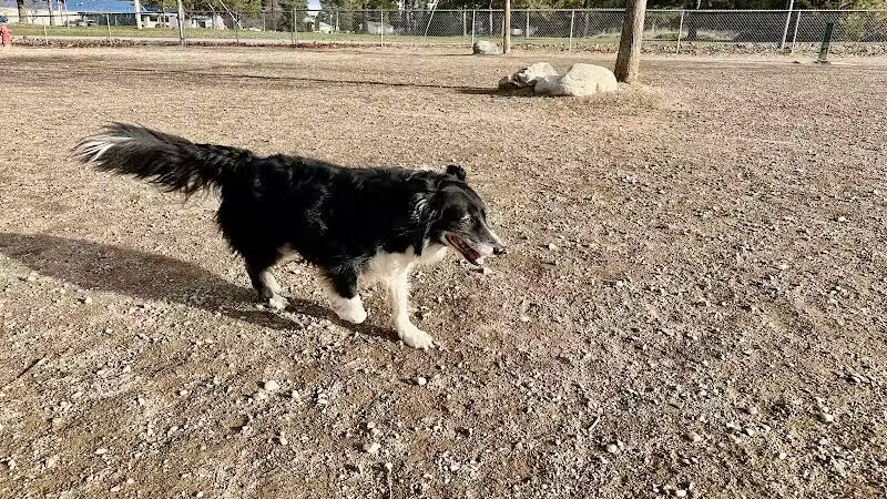 Cherry Hill Dog Park