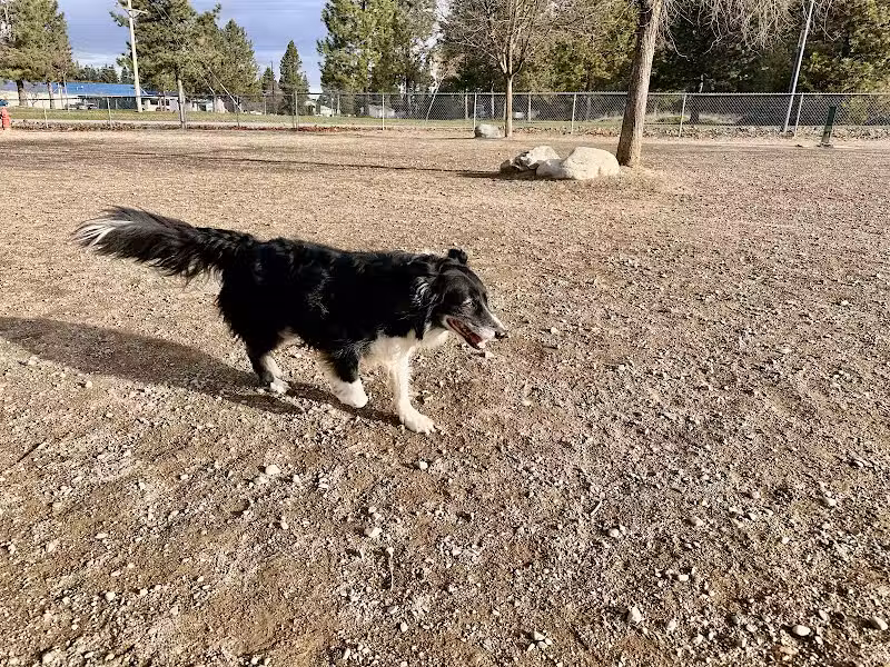 Cherry Hill Dog Park