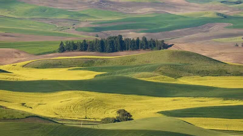 Steptoe Butte State Park Heritage Site - Colfax, WA
