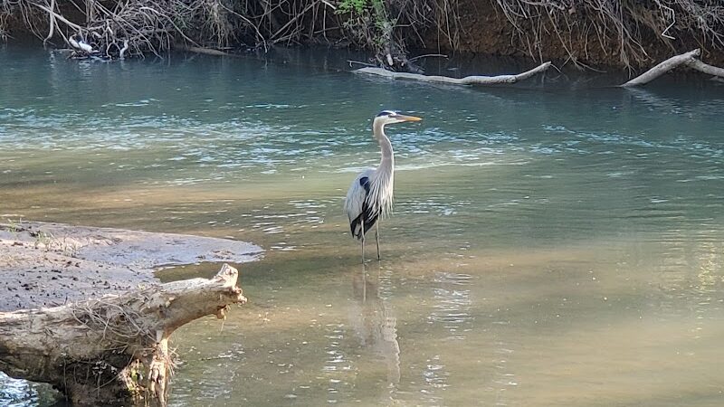 Wolftever Creek Greenway - Collegedale, TN