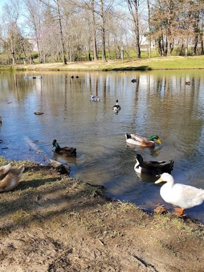 Wolftever Creek Greenway - Collegedale, TN