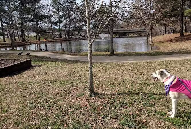 Wolftever Creek Greenway - Collegedale, TN