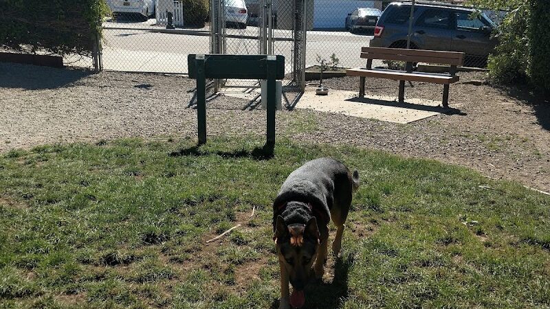 Bark Park - Colma, CA