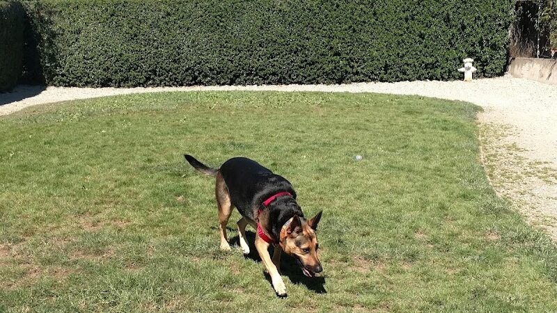 Bark Park - Colma, CA