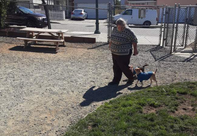 Bark Park - Colma, CA