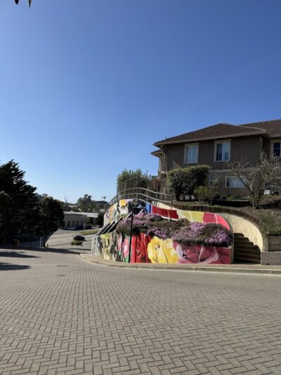 Bark Park - Colma, CA