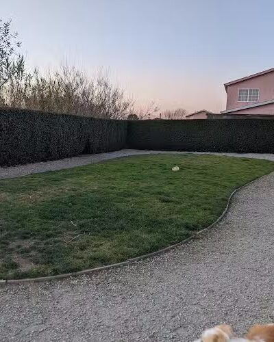 Bark Park - Colma, CA