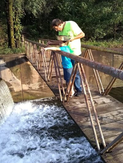 Old Colona Park - Colona, IL