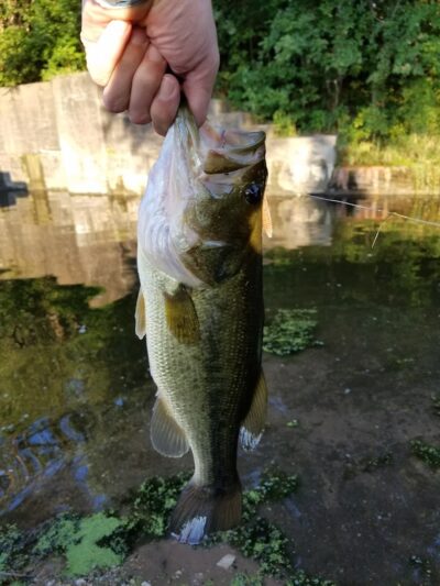Old Colona Park - Colona, IL