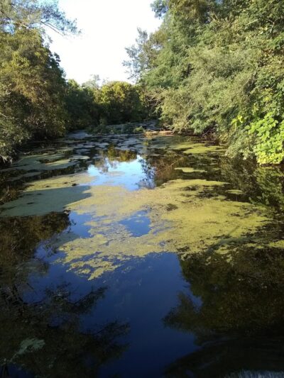 Old Colona Park - Colona, IL