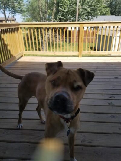 Sullivan Park - Colona, IL