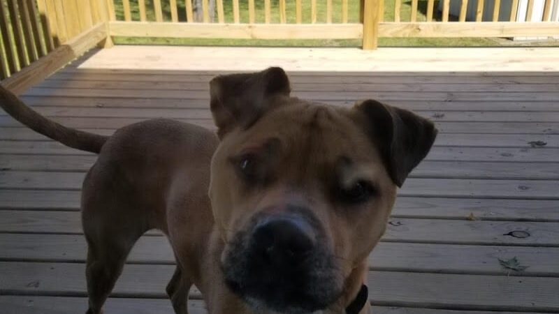 Sullivan Park - Colona, IL