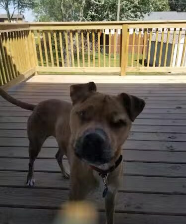 Sullivan Park - Colona, IL