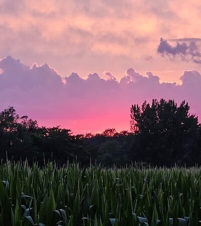 W. Gerard Huiskamp Family Park - Colona, IL