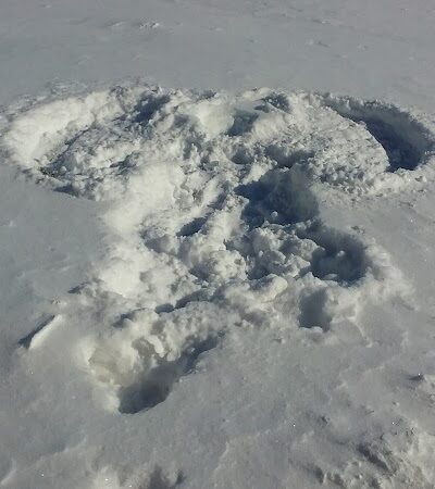 W. Gerard Huiskamp Family Park - Colona, IL