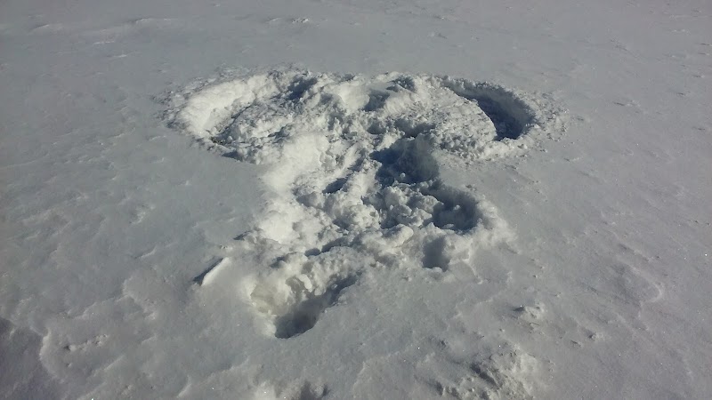 W. Gerard Huiskamp Family Park - Colona, IL