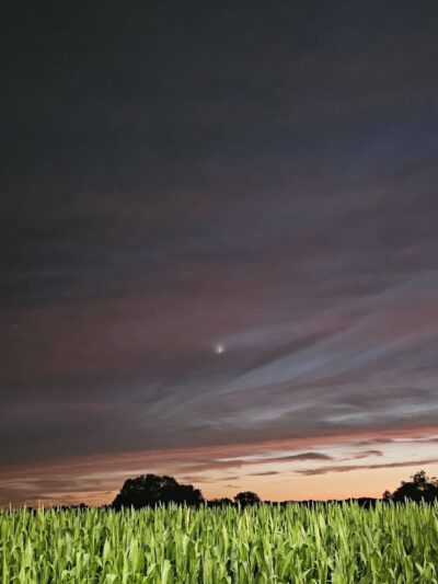 W. Gerard Huiskamp Family Park - Colona, IL