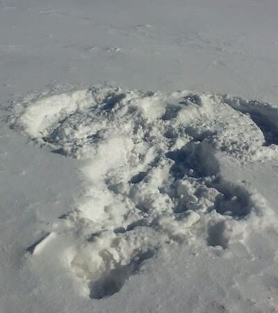 W. Gerard Huiskamp Family Park - Colona, IL