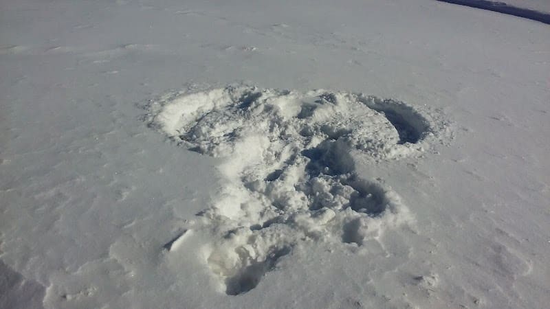 W. Gerard Huiskamp Family Park - Colona, IL