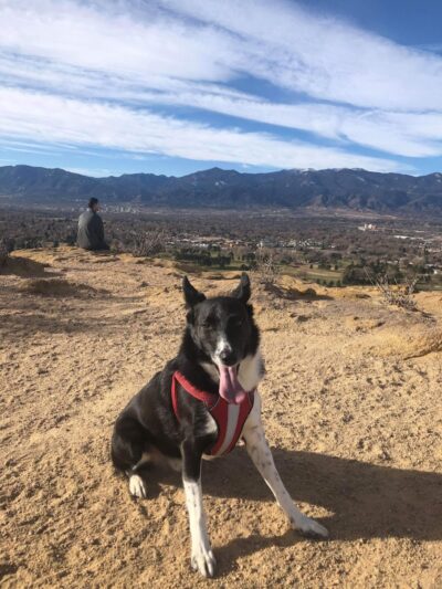 Palmer Park (Yucca Flats Trailhead) - Colorado Springs, CO