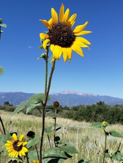 Palmer Park (Yucca Flats Trailhead) - Colorado Springs, CO