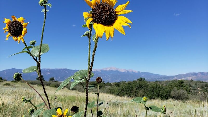 Palmer Park (Yucca Flats Trailhead) - Colorado Springs, CO