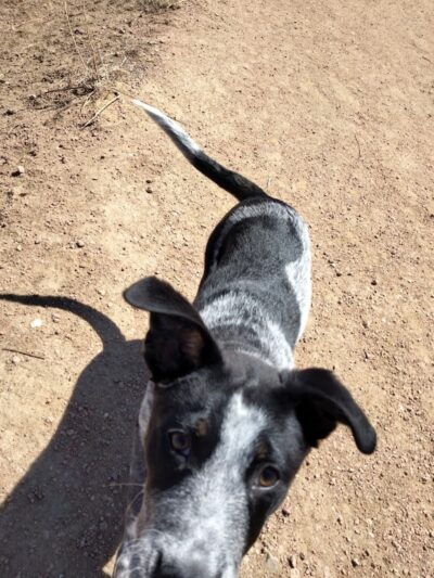 Palmer Park (Yucca Flats Trailhead) - Colorado Springs, CO