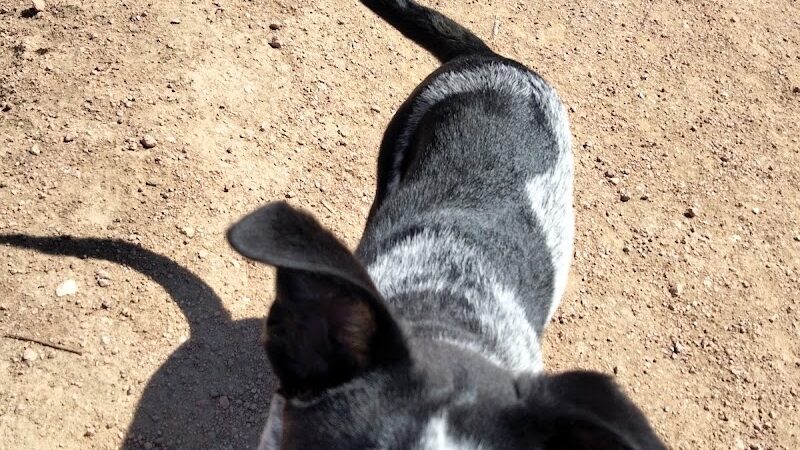 Palmer Park (Yucca Flats Trailhead) - Colorado Springs, CO