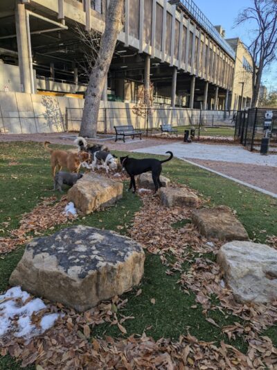 Antlers Dog Park - Colorado Springs, CO