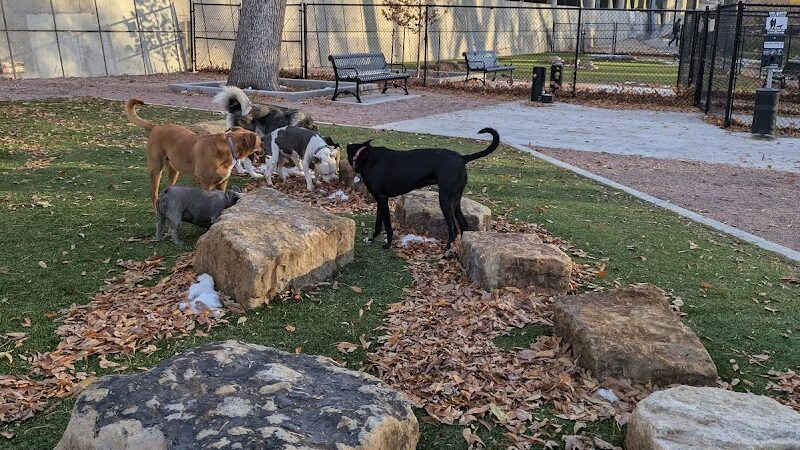 Antlers Dog Park - Colorado Springs, CO