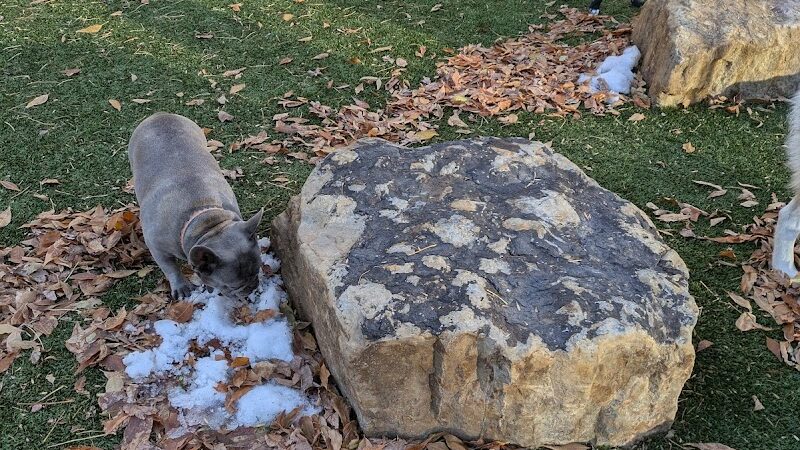 Antlers Dog Park - Colorado Springs, CO