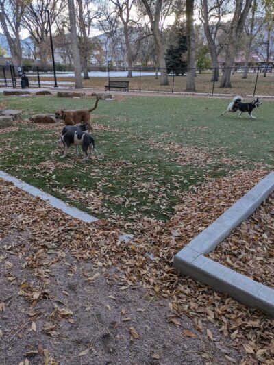 Antlers Dog Park - Colorado Springs, CO