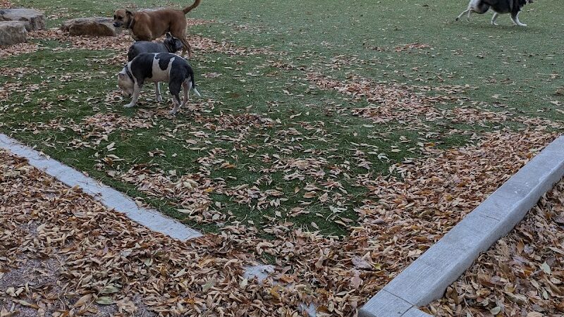 Antlers Dog Park - Colorado Springs, CO