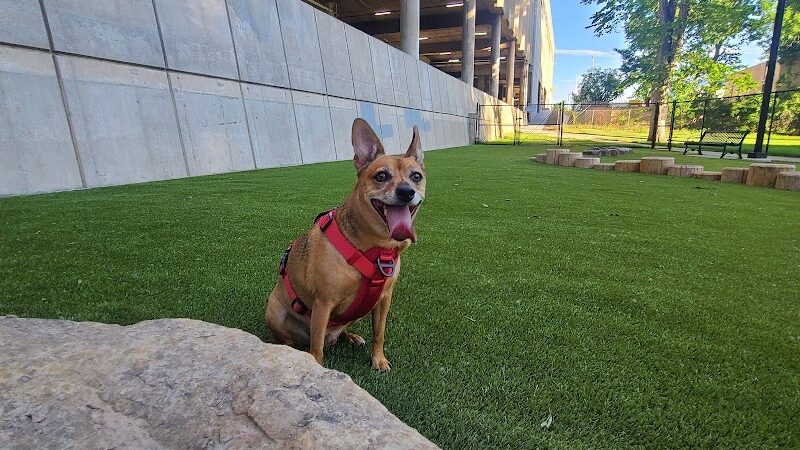 Antlers Dog Park - Colorado Springs, CO