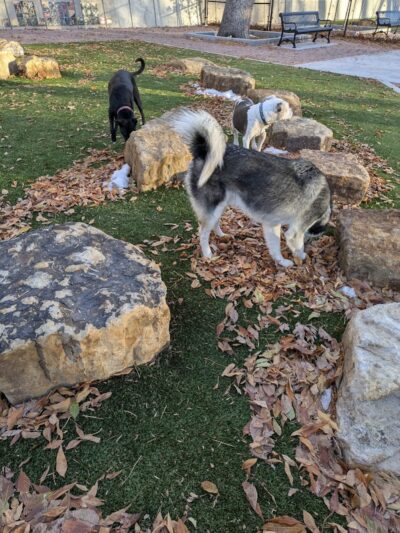 Antlers Dog Park - Colorado Springs, CO