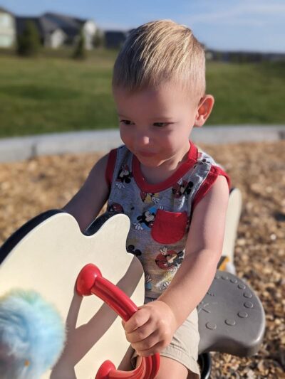 Ashmore - Colorado Springs, CO