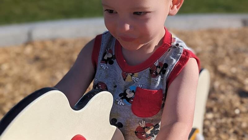 Ashmore - Colorado Springs, CO