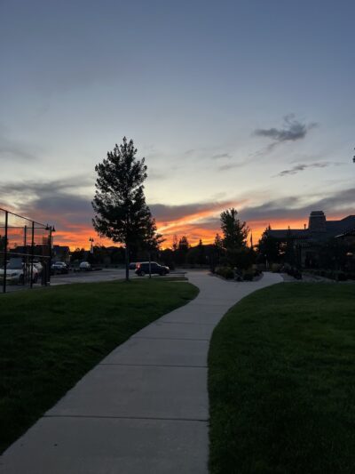 Ashmore - Colorado Springs, CO