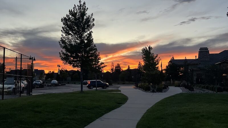 Ashmore - Colorado Springs, CO